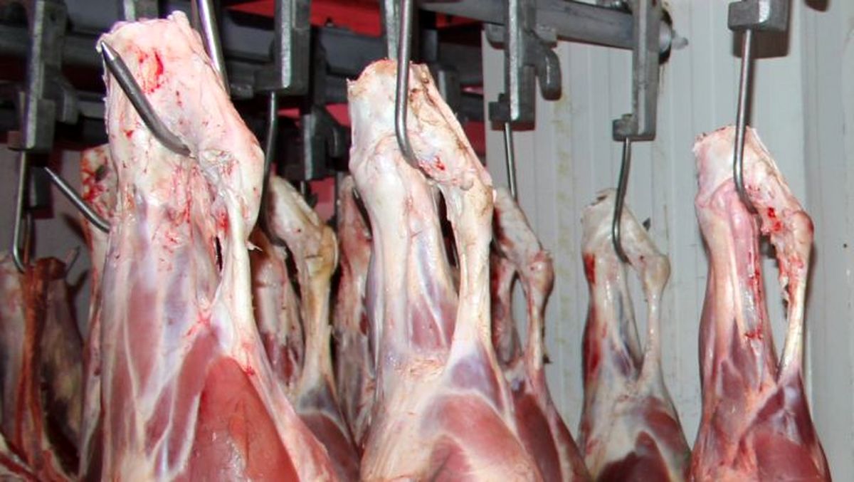 توطئه محمدبن‌سلمان برای گرانی گوشت در ایران!