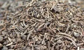 خواص شگفت‌انگیز سنبل‌الطیب که از آن بی‌خبر هستید