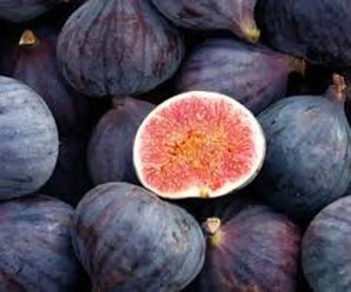 مبارزه علیه چربی و اوره خون با یک میوه شگفت انگیز