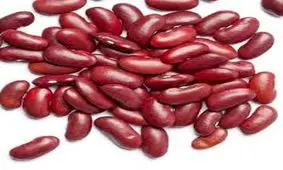 خوراکی های سمی که بلای جان تان هستند