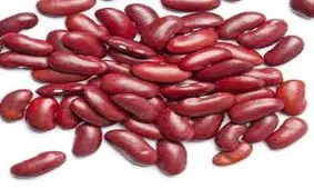 خوراکی های سمی که بلای جان تان هستند