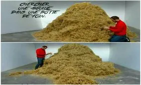 تلاش یک مرد ایتالیایی برای یافتن سوزن در انبار کاه