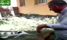 جوری که روحانی مردم را از دست احمدی نژاد نجات داد !