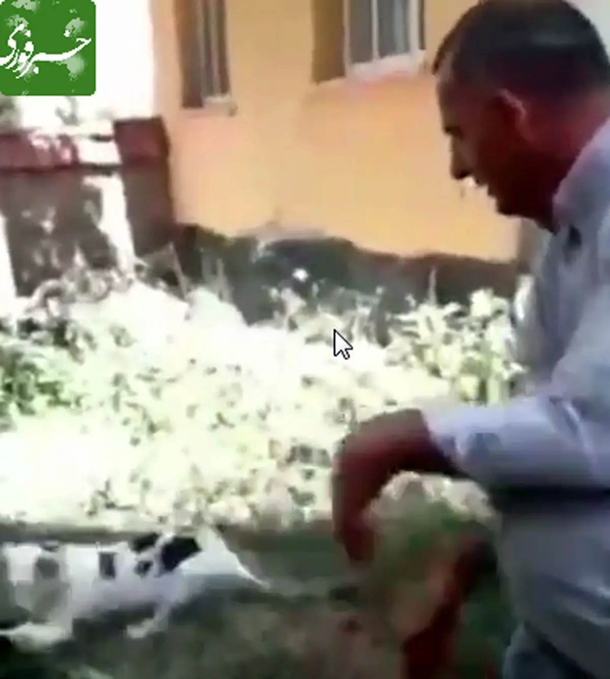 جوری که روحانی مردم را از دست احمدی نژاد نجات داد !