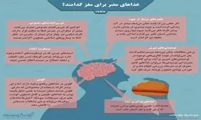 غذاهای مضر برای مغز کدامند؟