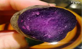 داخل اشیای مختلف را دیده بودید؟