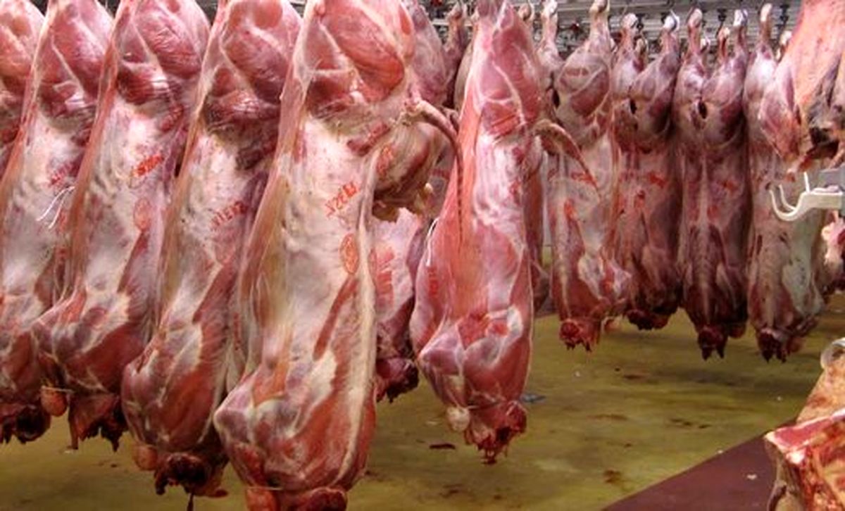 گوشت وارداتی ۴۰ هزارتومانی را ۱۲۰ هزار تومان می‌فروشند؟/ وزارت کشاورزی: کذب است!