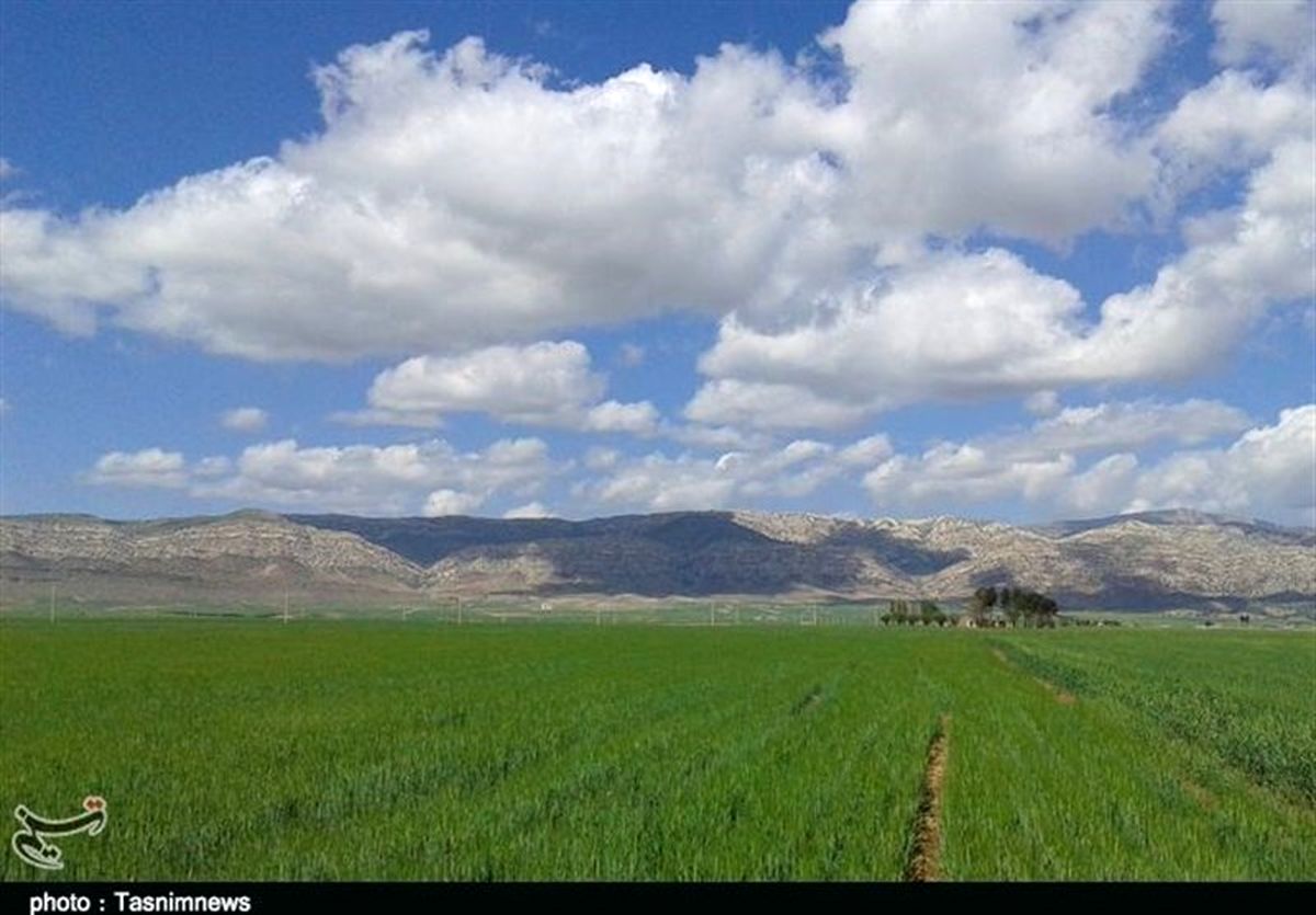 تنها ۱۰ درصد زمین‌های زراعی شهرستان‌های کوهدشت و رومشکان آبی است