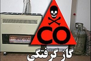 گازگرفتگی در استان قزوین ۸ مصدوم برجای گذاشت
