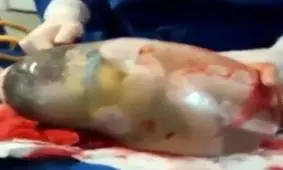 اى آدمى، چه چيز تو را به پروردگار كريمت مغرور كرده است؟