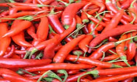 قوی ترین داروی لاغری!