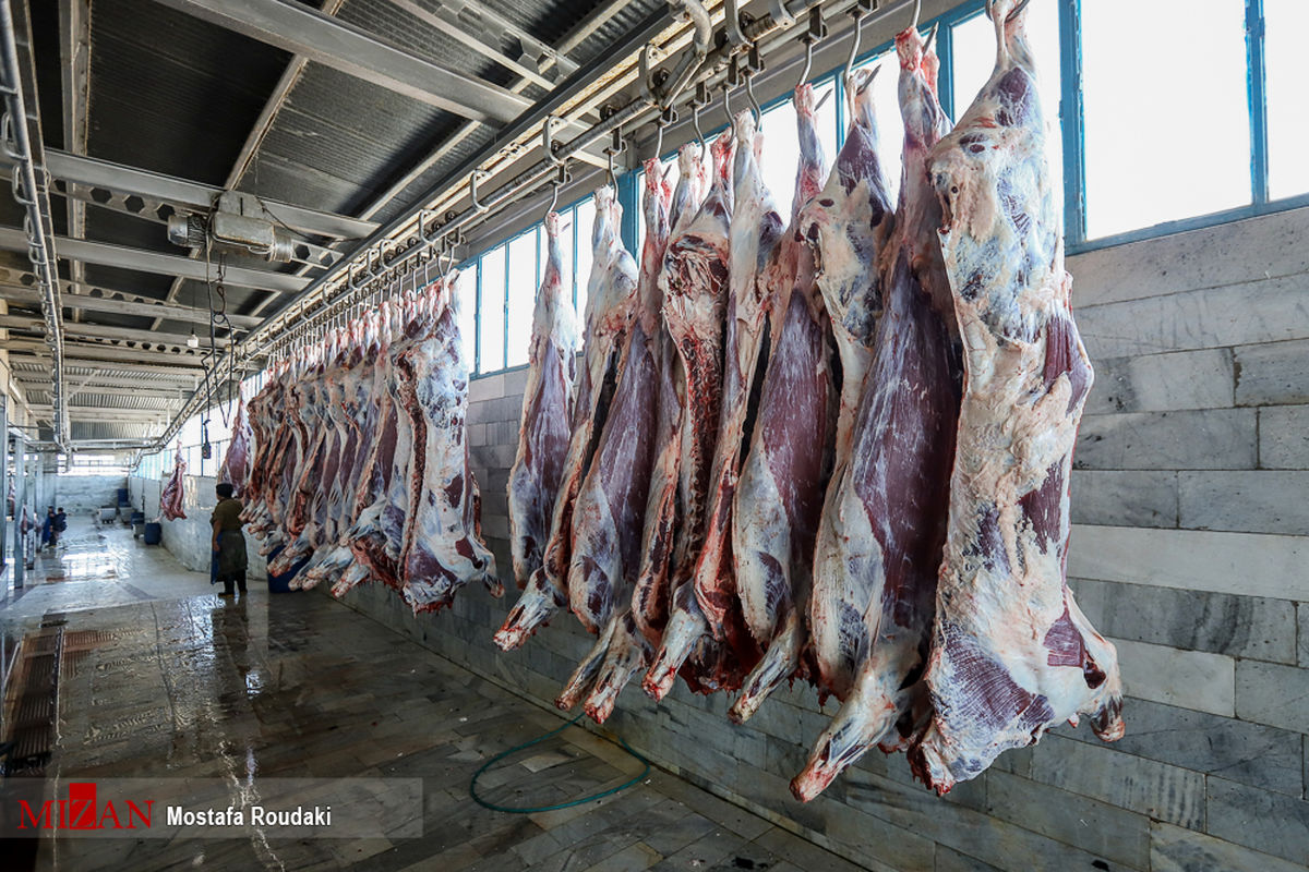 قاچاق دام یا سوء مدیریت؛ عامل آشفتگی بازار گوشت کدام است؟