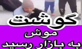 گوشت موش هم به بازار اضافه شد !