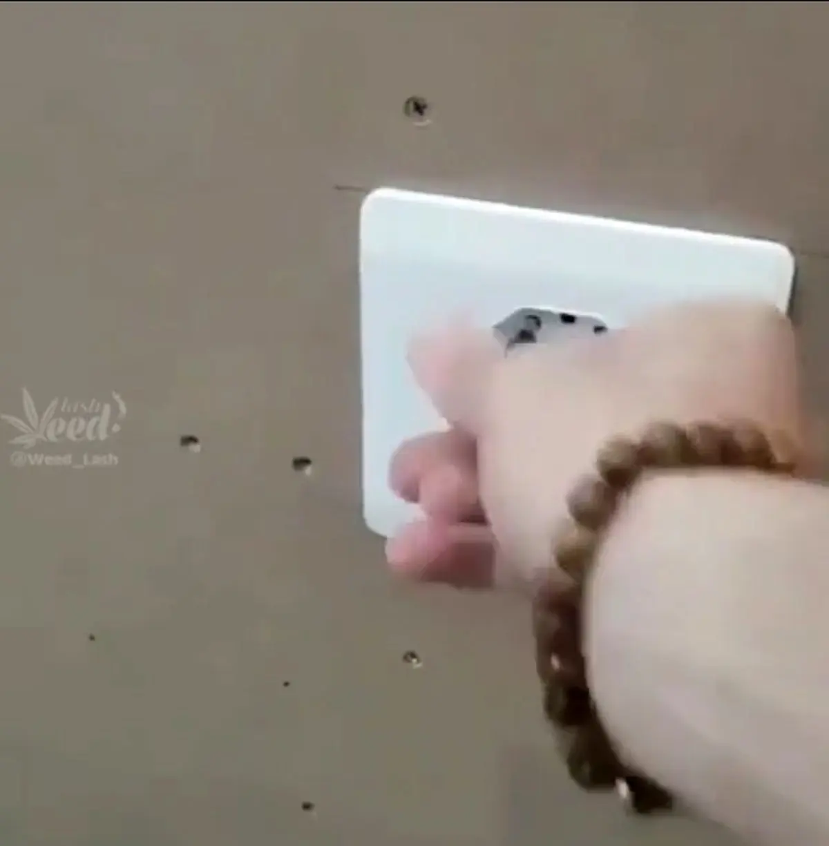 گاو صندوق فقط این