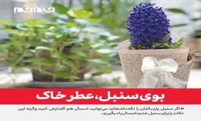 بوی سنبل، عطر خاک