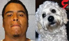 ازدواج عجیب مرد امریکایی با سگ زنش !+ عکس