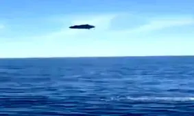 صحنه جالب از لحظه شکار ماهی