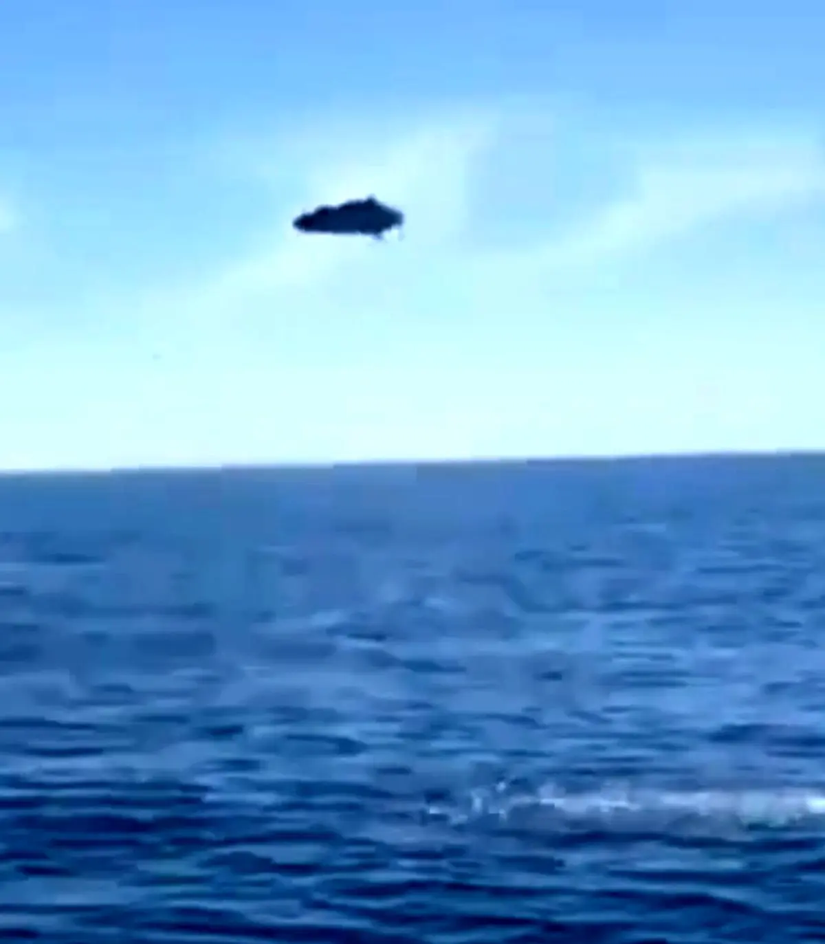 صحنه جالب از لحظه شکار ماهی