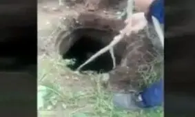 نجات سگ از چاه در اهواز