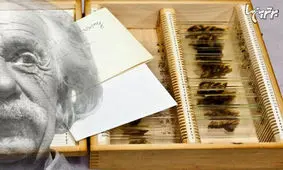 اعضای بدن انسان که در موزه نمایش داده می‌شود