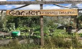 کلم به بزرگی آدم دیده بودین؟ + تصاویر جالب