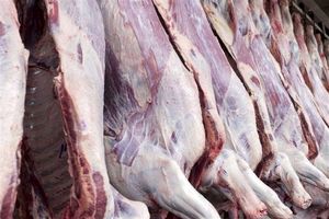 تکذیب توزیع گوشت الاغ در کردستان