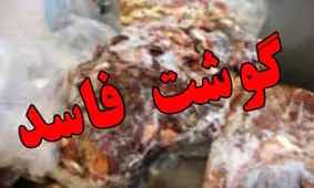 مهمانانی که جان سالم به در بردند