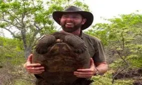 کشف لاک پشت 110 ساله غول پیکر + تصاویر