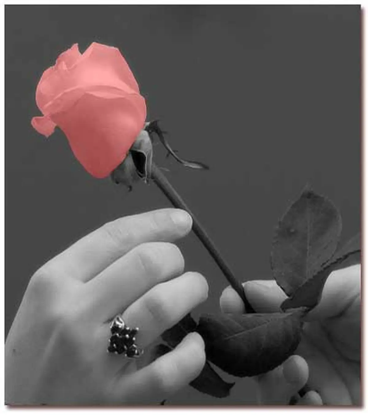 روز مادرو روز زن چه بخریم؟