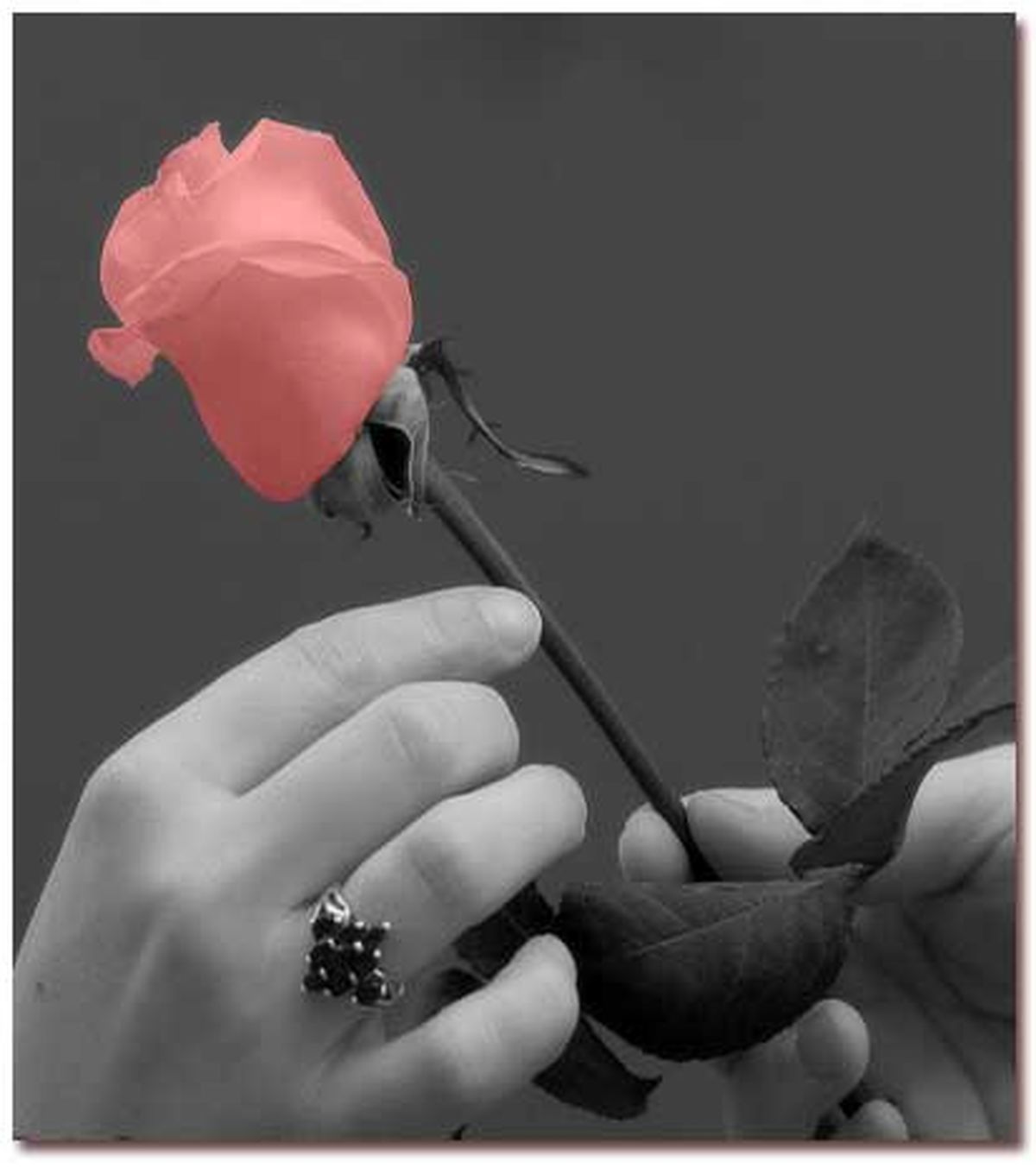 روز مادرو روز زن چه بخریم؟