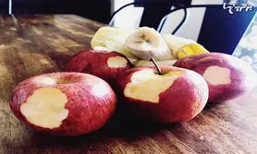 فقط مامان بابا‌ها این عکسها را میفهمند