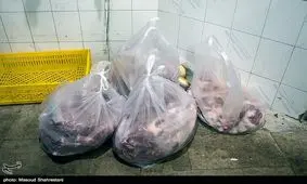 فروش مرغ بیشتر از ۱۱۵۰۰۰ ریال در بازار مازندران ممنوع شد