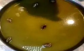 طرز تهیه باقلوا استامبولی