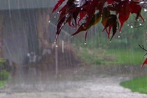 افزایش ۱۰۲ درصدی بارش بهمن ماه گلستان/ مینودشت رکوردار است