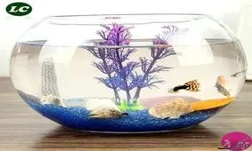 مدل‌های جدید و شیک تزئین تنگ ماهی برای سال ۹۸