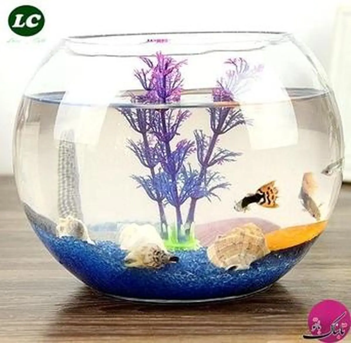 مدل‌های جدید و شیک تزئین تنگ ماهی برای سال ۹۸