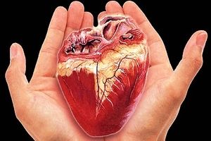 بیماران قلبی در ایران جوان‌تر می‌شوند