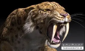 این سه جانور ناشناخته را شناسایی کنید؟