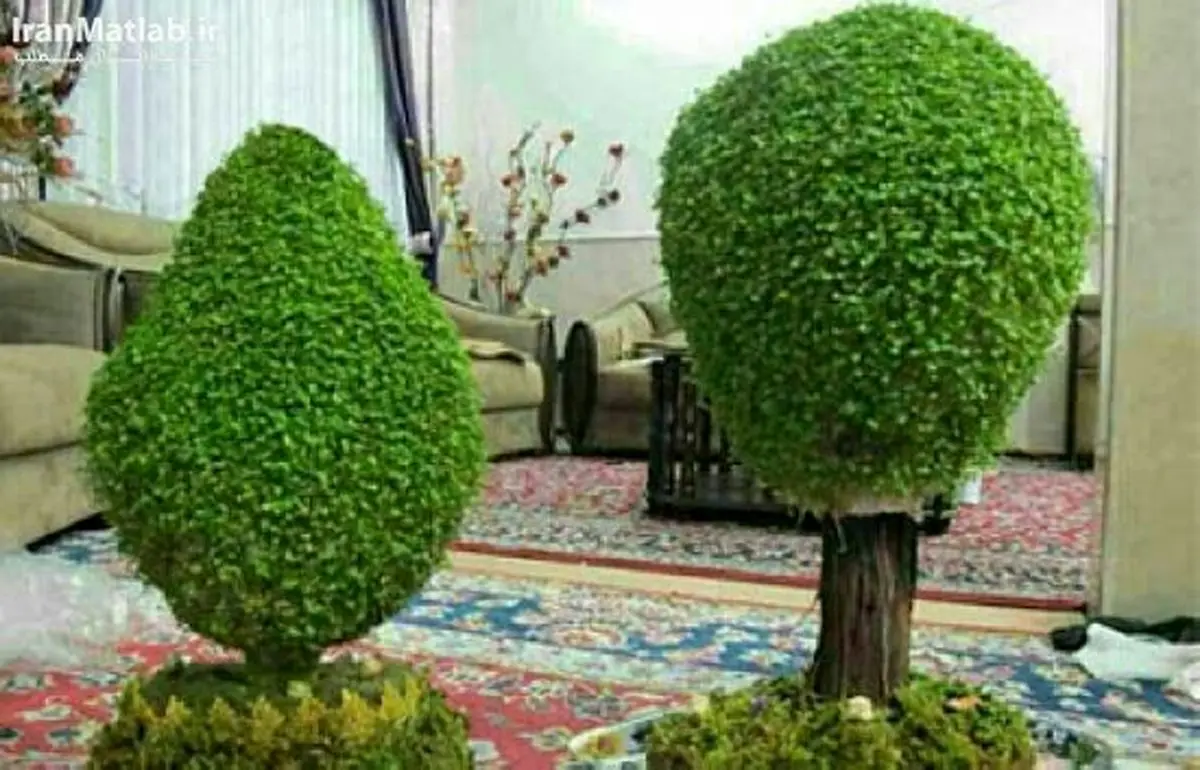 آموزش سبزه درختی