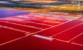 صورتی‌ترین دریاچه جهان کشف شد + تصویر