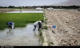 تکلیف حقابه‌ها و برداشت‌های غیر مجاز از زاینده‌رود مشخص شود