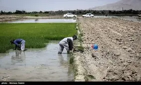 تکلیف حقابه‌ها و برداشت‌های غیر مجاز از زاینده‌رود مشخص شود
