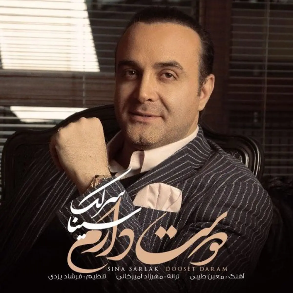 آهنگ جدید سینا سرلک به نام "دوست دارم"+صوت