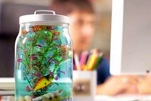 هشدار درباره خرید بطری‌های مرگ+ویدئو