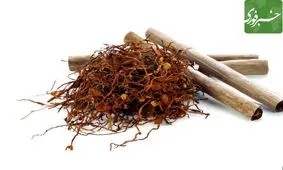 یک پروتئین درمانی از تنباکو تولید شد