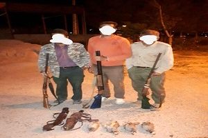 شکارچیان غیرمجاز در شاهرود دستگیر شدند