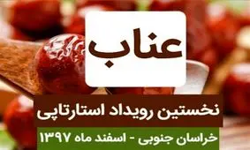 نخستین استارت آپ عناب در خراسان جنوبی برگزار شد
