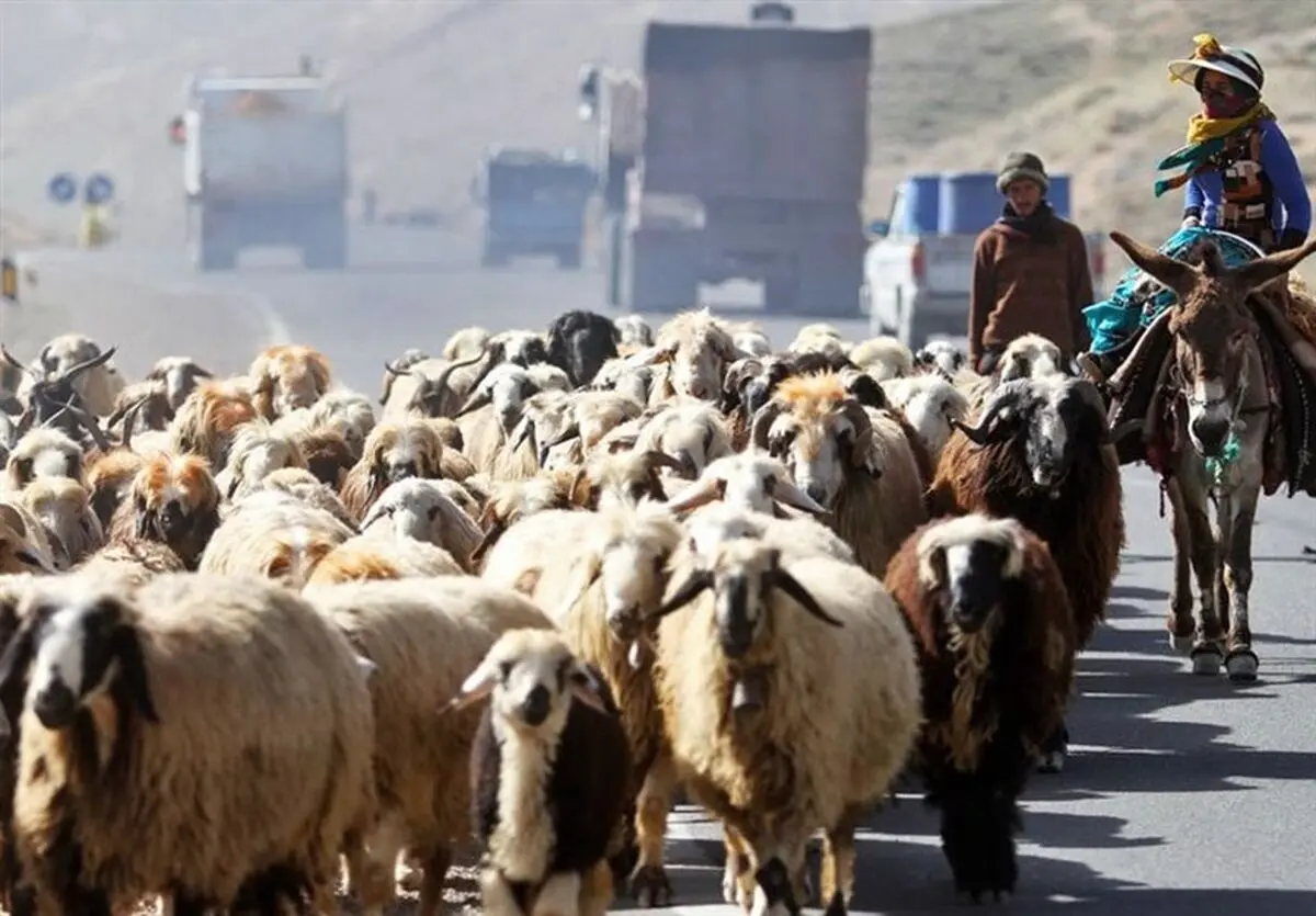 معضل کوچ زود هنگام؛ از ورود عشایر به لرستان جلوگیری می‌شود