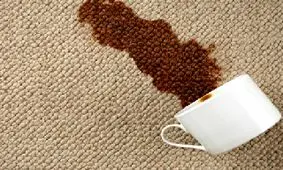 چگونه لکه چای را به سرعت از روی ظرف، لباس و فرش پاک کنیم؟