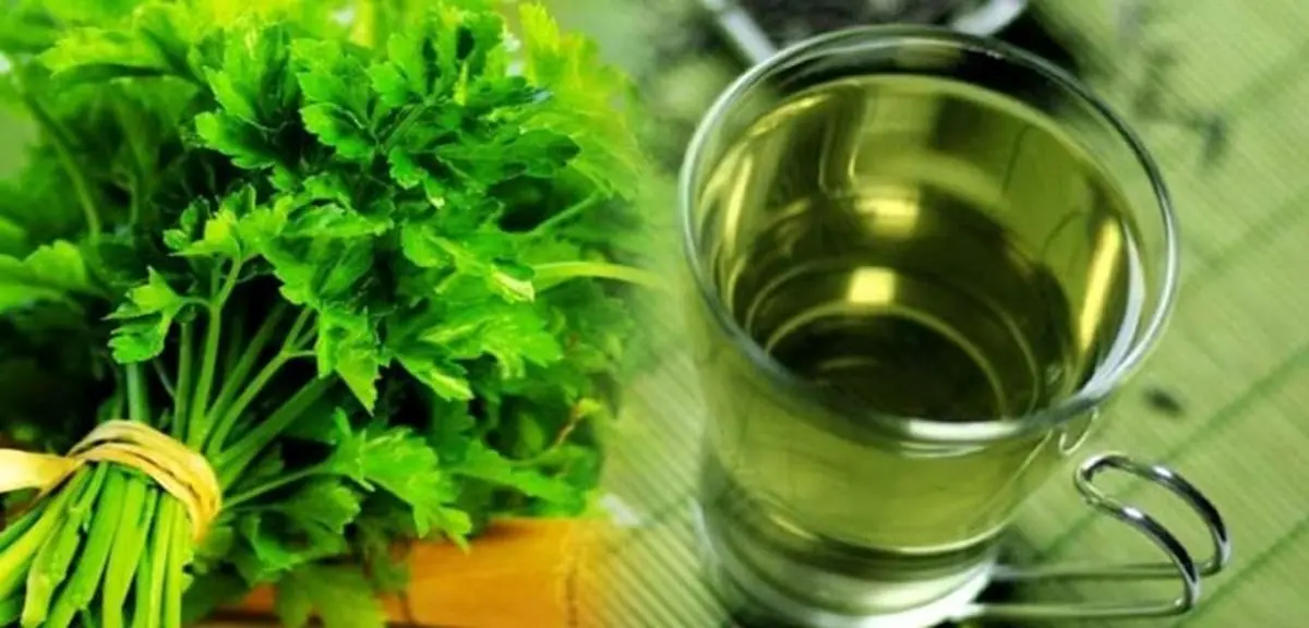 طرز تهیه دمنوش جعفری + خواص بی نظیر آن
